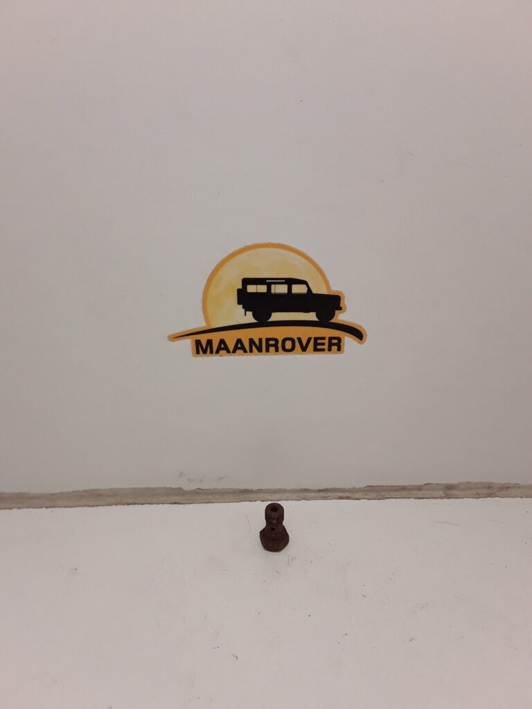 273521 Banjo Bolt