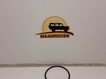 593891 O Ring for Hub Cap