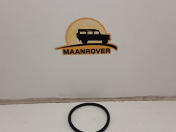 527235 Thermostat O Ring