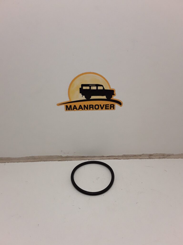 527235 Thermostat O Ring