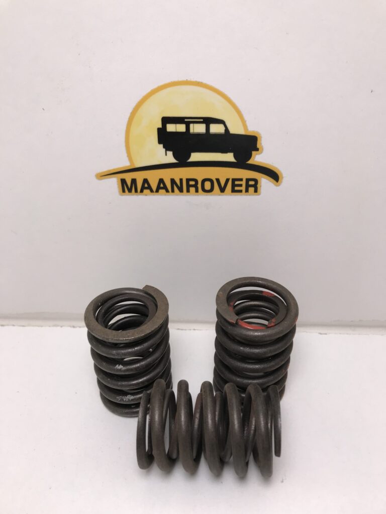 502904 Valve Spring Assy